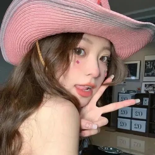 追星星的人2