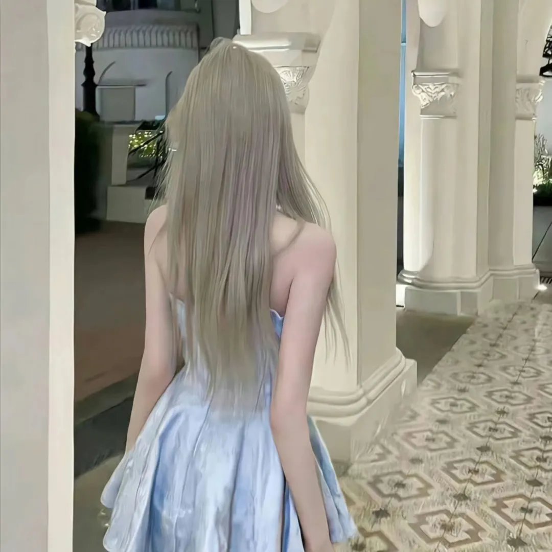 完美计划